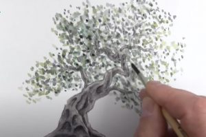 How to Draw an Olive Tree