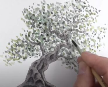 How to Draw an Olive Tree Step by Step