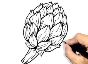 How to draw An Artichoke