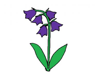 How to draw a Bluebell Flower