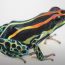 How to draw a Poison Dart Frog Step by Step