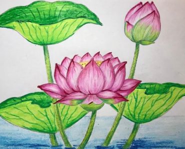 How to draw a beautiful Lotus Flower