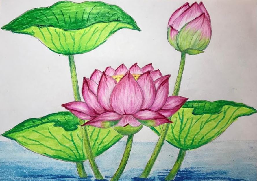 Lotus Line Drawing Art Print by Sacred Mandala Designs | Society6-saigonsouth.com.vn