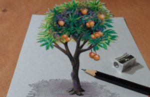 Mango Tree Drawing with Pencil