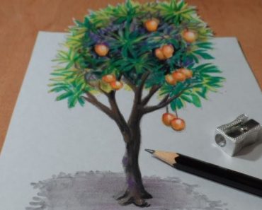 Mango Tree Drawing with Pencil Step by Step