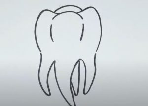 tooth drawing