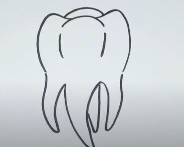 Tooth Drawing Step by Step Tutorial
