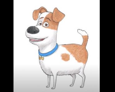 How to Draw Max from Secret Life of Pets