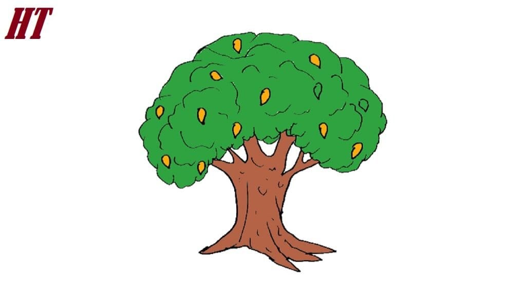 How to Draw a Mango Tree