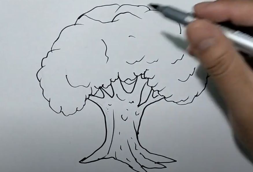 How TO Draw mango tree easy/mango tree drawing - YouTube-saigonsouth.com.vn