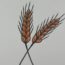 How to Draw Wheat easy for Beginners