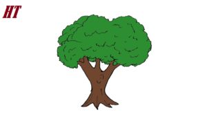 How to Draw an Oak Tree