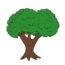 How to Draw an Oak Tree Easy for Beginners