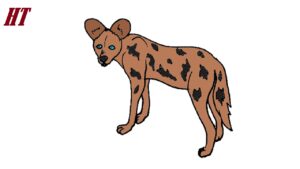 How-to-draw-african-wild-dog