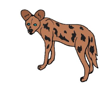 How to draw african a wild Dog Step by Step