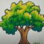 How to Draw a Big Tree Step by Step
