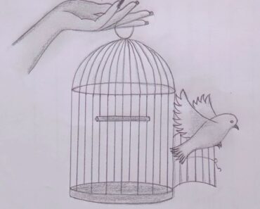 How to Draw a Bird Cage Step by Step