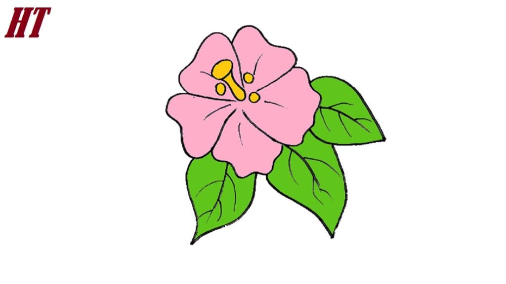 How to Draw a Tropical Flower