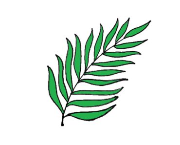 How to draw a fern leaf Step by Step