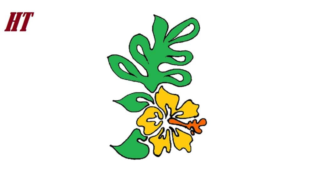 How-to-draw-a-hawaiian-flower