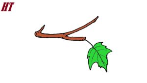 How-to-draw-a-leaf-on-a-tree