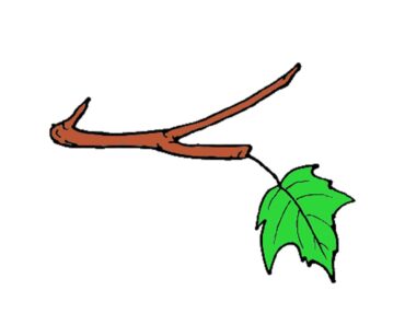 How to draw a leaf on a tree Step by Step