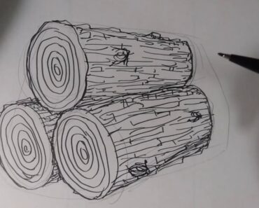 How to Draw Timber Step by Step