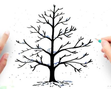 How to Draw a Winter Tree Step by Step