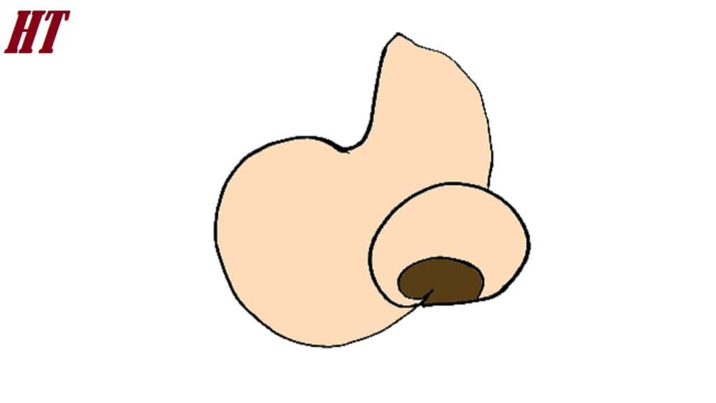 How-to-draw-a-cartoon-nose