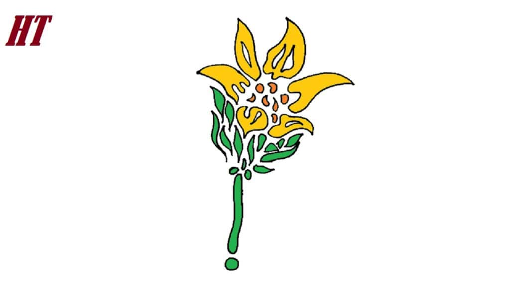 How-to-draw-a-wildflower