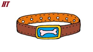 How to Draw a Dog Collar