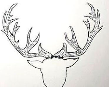 How to Draw Reindeer Antlers Step by Step