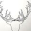 How to Draw Reindeer Antlers Step by Step