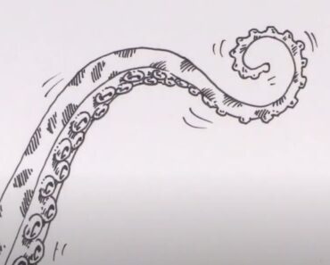 How to Draw a Tentacle Step by Step