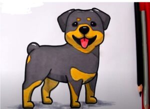 How to Draw Rottweiler Puppy