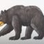 How to Draw a Black Bear Step by Step