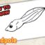 How to Draw a Tadpole Step by Step
