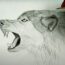 How to Draw an Angry Wolf