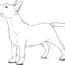 How to Draw a Bull Terrier Dog