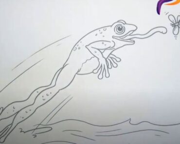 How to Draw a Jumping Frog Step by Step
