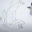 How to Draw a Leopard Seal Step by Step