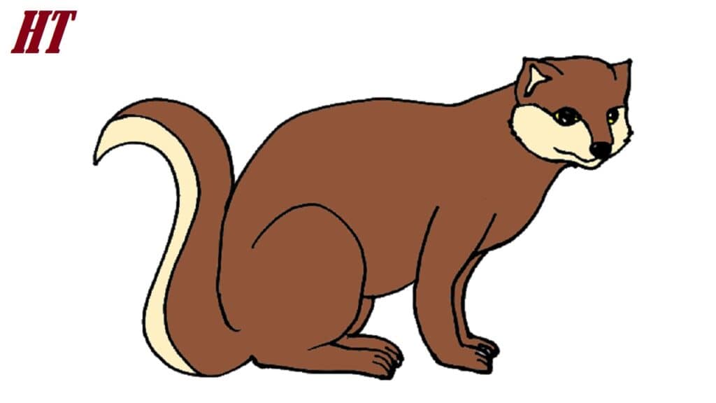 How to Draw a Mongoose