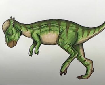 How to Draw a Pachycephalosaurus Step by Step