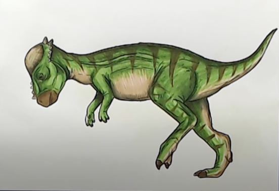 How to Draw a Pachycephalosaurus Step by Step