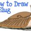 How to Draw a Slug Step by Step