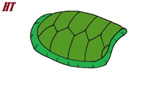 How to Draw a Turtle Shell
