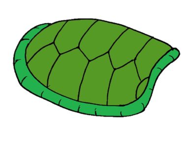 How to Draw a Turtle Shell Step by Step