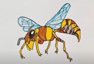 Hornet Drawing