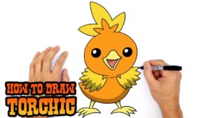 How to Draw Torchic Pokemon