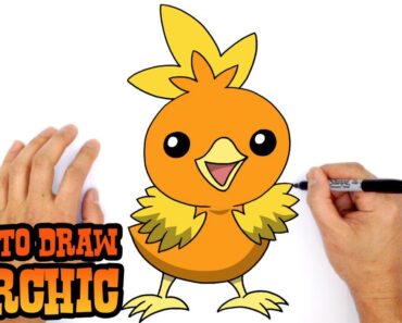 How to Draw Torchic Pokemon Step by Step